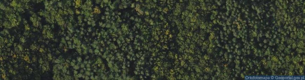 Zdjęcie satelitarne Głazy narzutowe (Dwa) w Cisowej