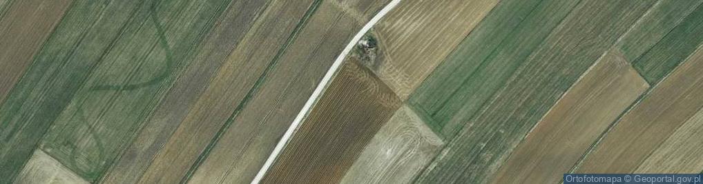 Zdjęcie satelitarne Góra Ostaniec 188 m n.p.m.
