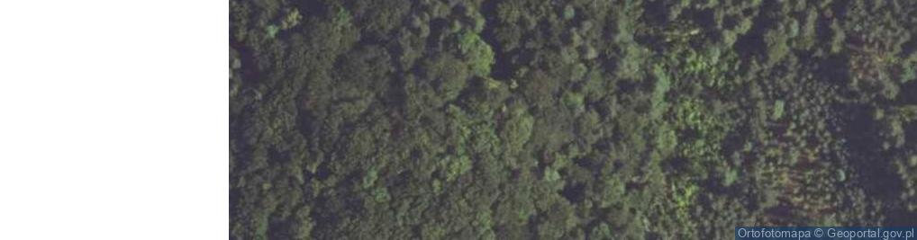 Zdjęcie satelitarne Góra Ostrężnik (Ostaniec Wapienny)