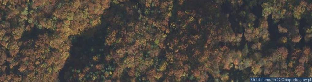 Zdjęcie satelitarne Górne warstwy istebniańskie z egzotykiem granitowym