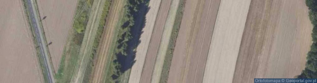 Zdjęcie satelitarne Grodzisko pierścieniowate typu cyplowego