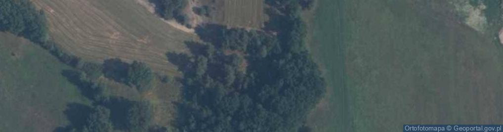 Zdjęcie satelitarne Grodzisko XI w.