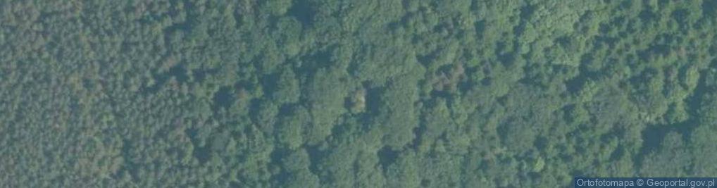 Zdjęcie satelitarne Januszkowa Góra