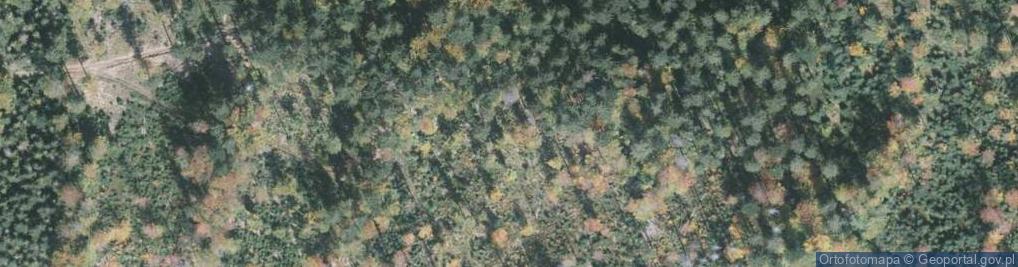 Zdjęcie satelitarne Jaskinia Miecharska