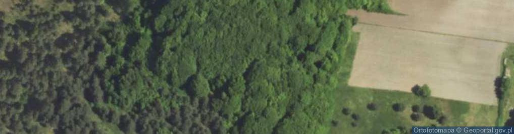 Zdjęcie satelitarne Jaskinia na Dupce (Siedlecka)