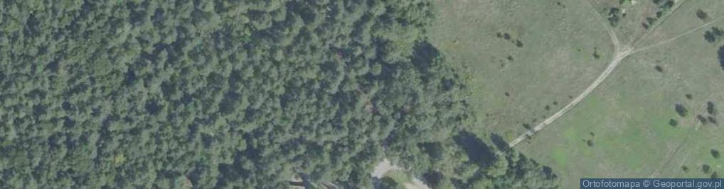 Zdjęcie satelitarne Jaskinia Raj