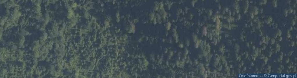 Zdjęcie satelitarne Jaskinia w Jaworzynie w Gorcach