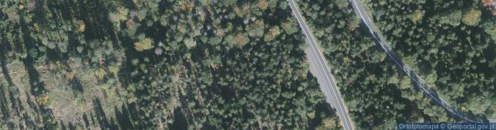 Zdjęcie satelitarne Jaskinia Wiślańska