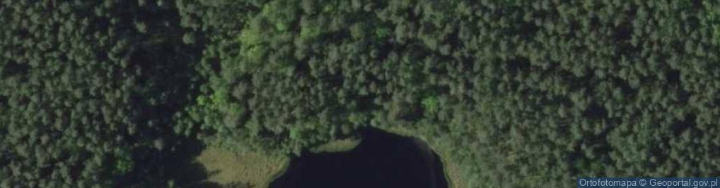 Zdjęcie satelitarne Jeziora dystroficzne w rezerwacie Zakręt