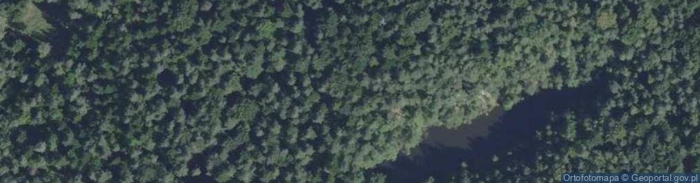 Zdjęcie satelitarne Kamieniołom wschodni na terenie Rezerwatu Barcza