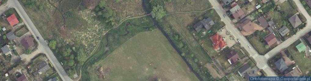 Zdjęcie satelitarne Kładka nad Pisią Gągoliną