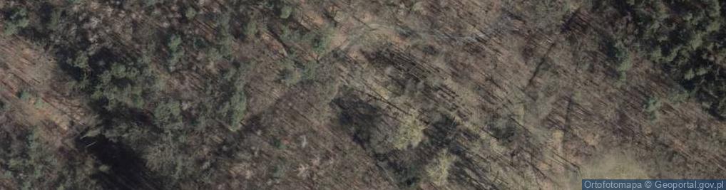 Zdjęcie satelitarne Kociołek wytopiskowy w rejonie Arkonki