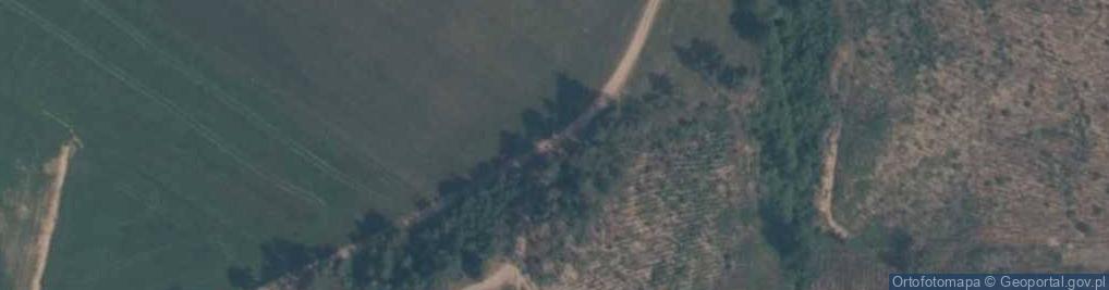 Zdjęcie satelitarne Kręgi kamienne