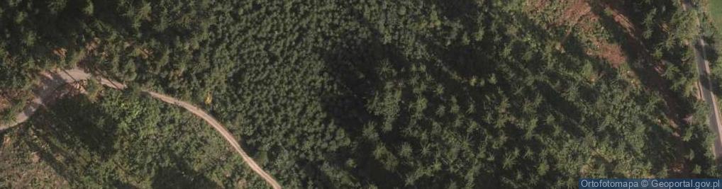 Zdjęcie satelitarne Lawy poduszkowe w Okolu