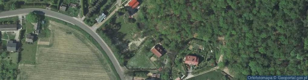 Zdjęcie satelitarne Lessy w dolinie rz. Dłubnia