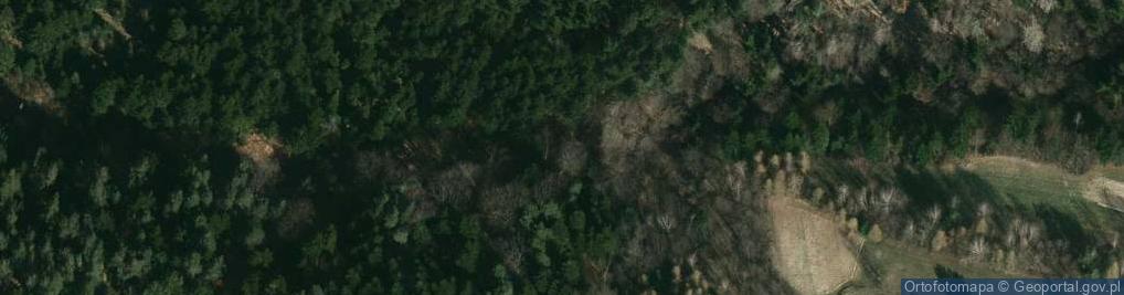 Zdjęcie satelitarne Łupki czarnorzeckie w potoku Bierska