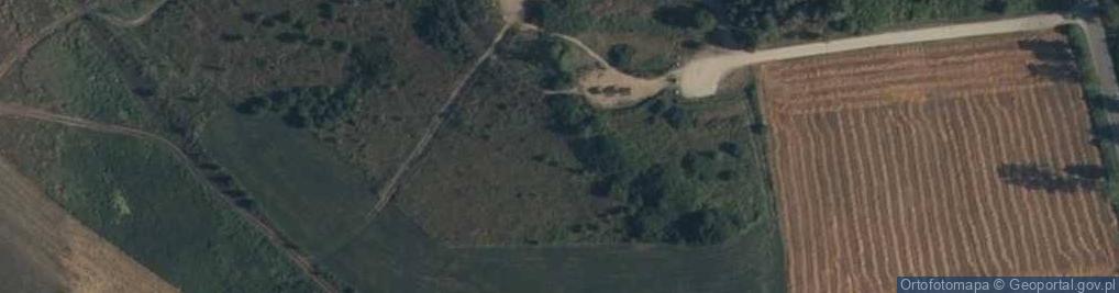 Zdjęcie satelitarne Meandry rz. Liwiec - Sowia Góra