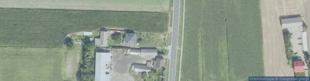 Zdjęcie satelitarne Miejsce dawnego dworu Gombrowiczów