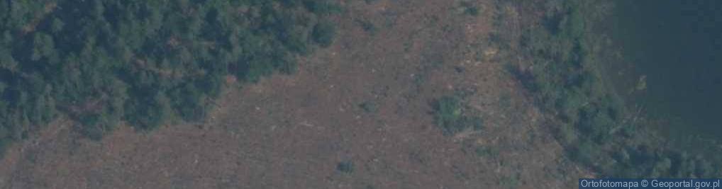 Zdjęcie satelitarne Miejsce pamięci