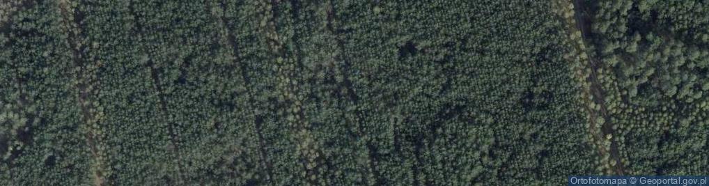 Zdjęcie satelitarne Miejsce po pożarze lasu