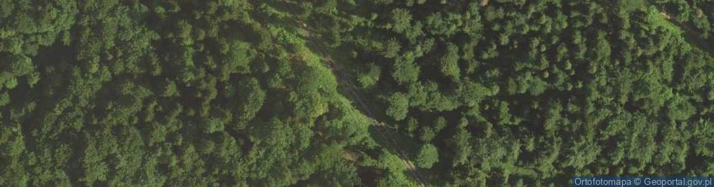 Zdjęcie satelitarne Mijanka wagoników kolejki na Górę Parkową