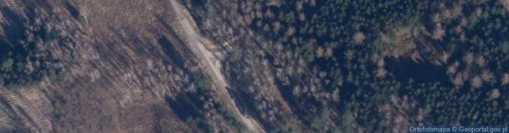 Zdjęcie satelitarne Mogilicki Głaz