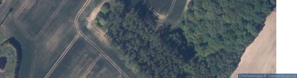 Zdjęcie satelitarne Morena w Czarnej Górze