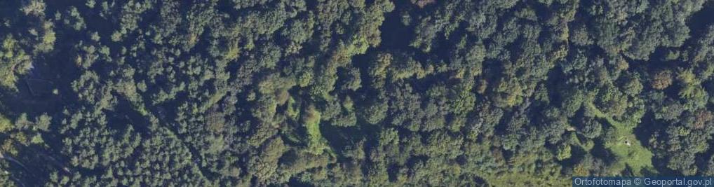 Zdjęcie satelitarne Mur historyczny