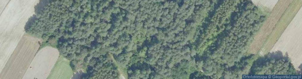 Zdjęcie satelitarne Nieczynne kamieniołomy