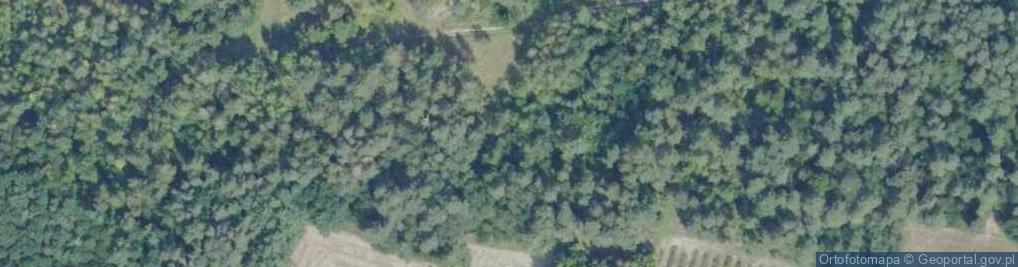Zdjęcie satelitarne Nieczynny kamieniołom turońskich wapieni i opok