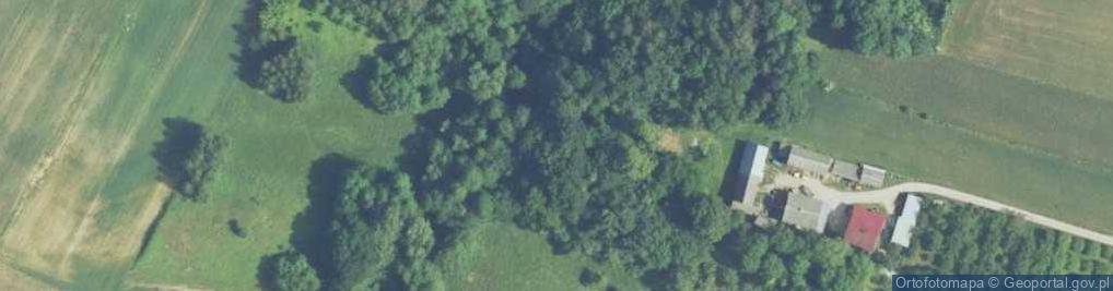 Zdjęcie satelitarne Niezgodność starokaledońska