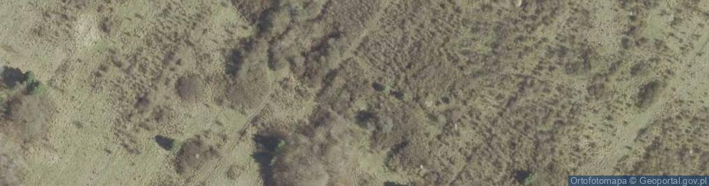 Zdjęcie satelitarne Odsłonięcia dolnego wapienia muszlowego w Młodzawach