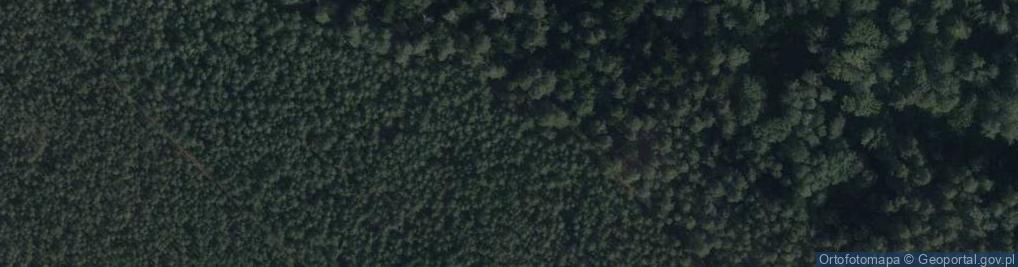 Zdjęcie satelitarne Odsłonięcie iłów krakowieckich w wąwozie rz. Sopot