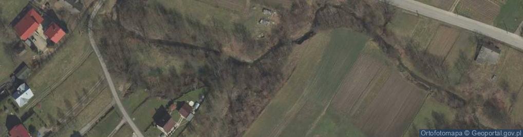 Zdjęcie satelitarne Odsłonięcie margli typu frydeckiego w dolinie rz. Uszwica