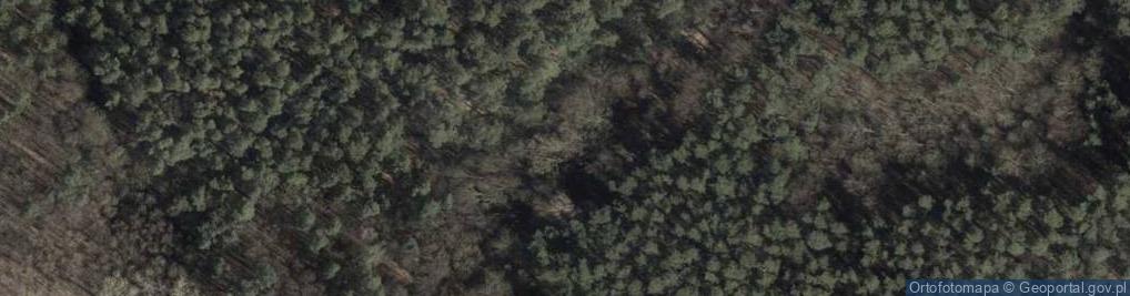 Zdjęcie satelitarne Odsłonięcie piasków oligoceńskich w dolinie rz. Zielonka