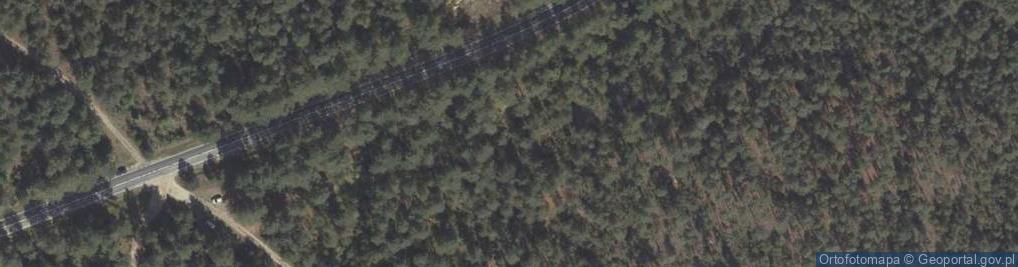 Zdjęcie satelitarne Odsłonięcie piasków w zboczu drogi Zamość-Józefów