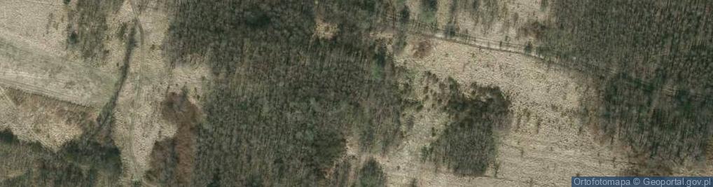 Zdjęcie satelitarne Olistolit w Woli Cieklińskiej