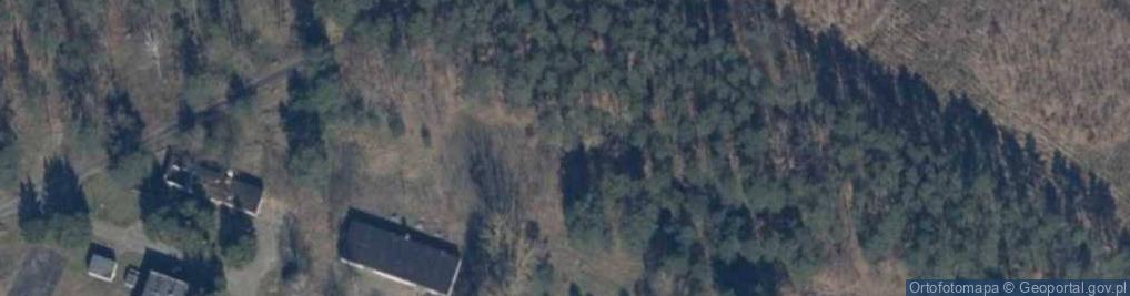 Zdjęcie satelitarne Opuszczone lotnisko wojskowe