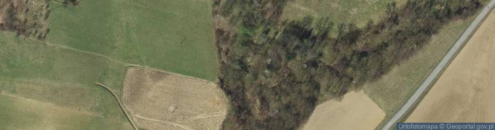 Zdjęcie satelitarne Osady plejstoceńskie z kościami dużych kręgowców