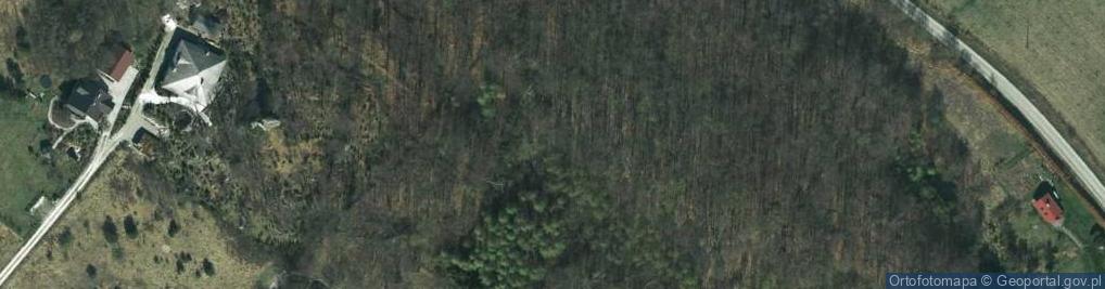 Zdjęcie satelitarne Ostaniec Jedlina