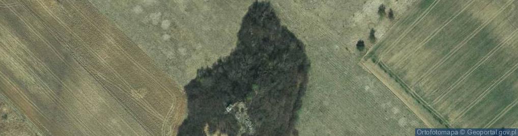 Zdjęcie satelitarne Ostaniec Wielka Skała