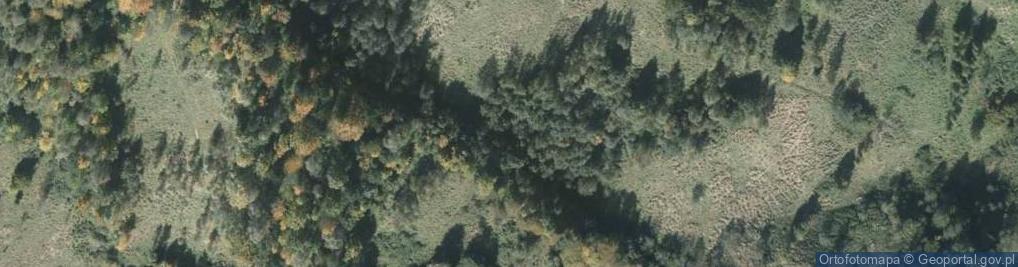 Zdjęcie satelitarne Osuwisko