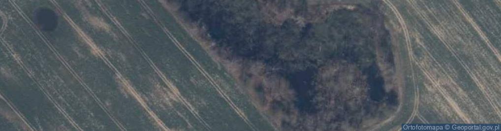 Zdjęcie satelitarne Ozy kiczarowskie