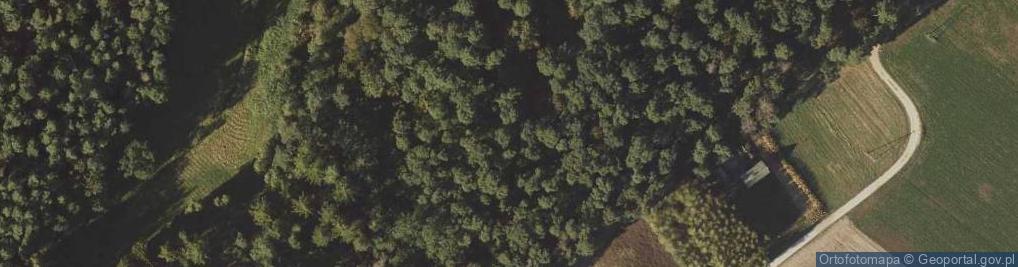 Zdjęcie satelitarne Park kulturowy Wietrzychowice - Megality Kujawskie