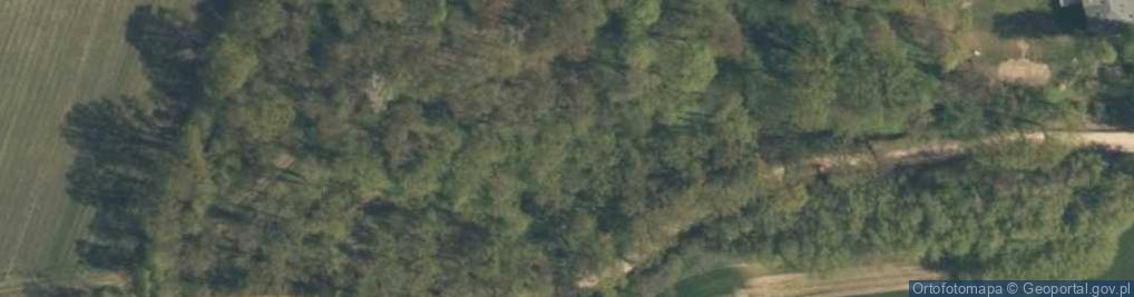 Zdjęcie satelitarne Parowy na krawędzi rz. Warta
