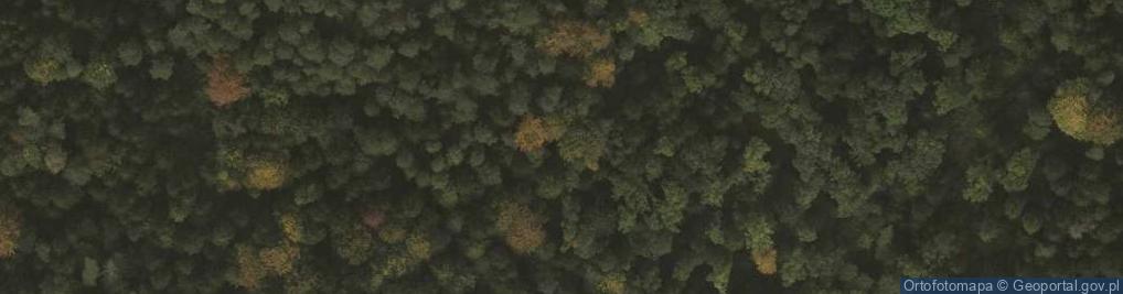 Zdjęcie satelitarne Piaskowce ciężkowickie w Bratkówce