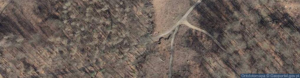 Zdjęcie satelitarne Piaskowce oligoceńskie w dolinie rz. Sołtysia