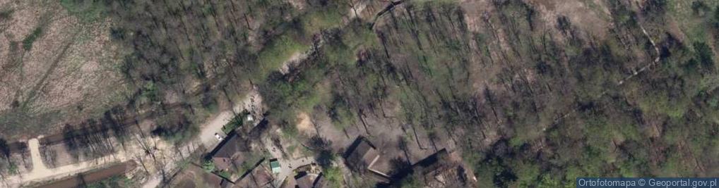 Zdjęcie satelitarne Pokazowa Zagroda Żubrów w Pszczynie