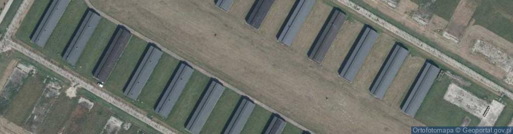 Zdjęcie satelitarne Pole więźniarskie III