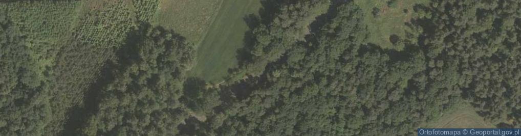 Zdjęcie satelitarne Pomnikowy głaz narzutowy Pocztylion w Brzeźniku